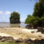 Fatumafuti Rock from beach