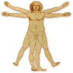 Overweight Vitruvian Man