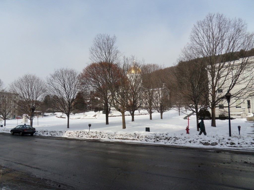 Vermont State House Lawn