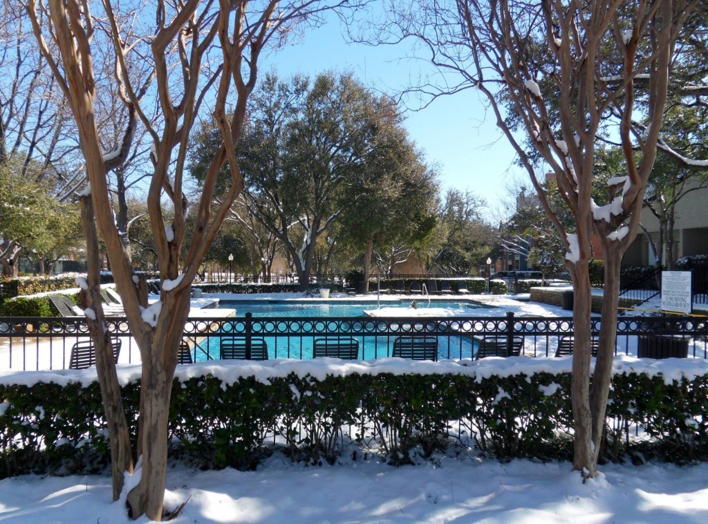 Swimming Pool in the Snow