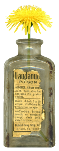 Dandelion in Poison