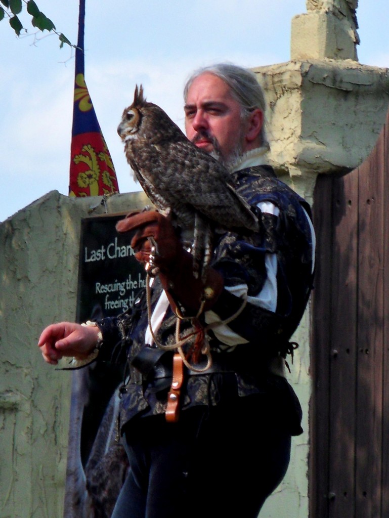Scarborough Faire Falconer with Owl