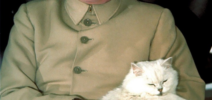 Dick Cheney as Blofeld with Cat