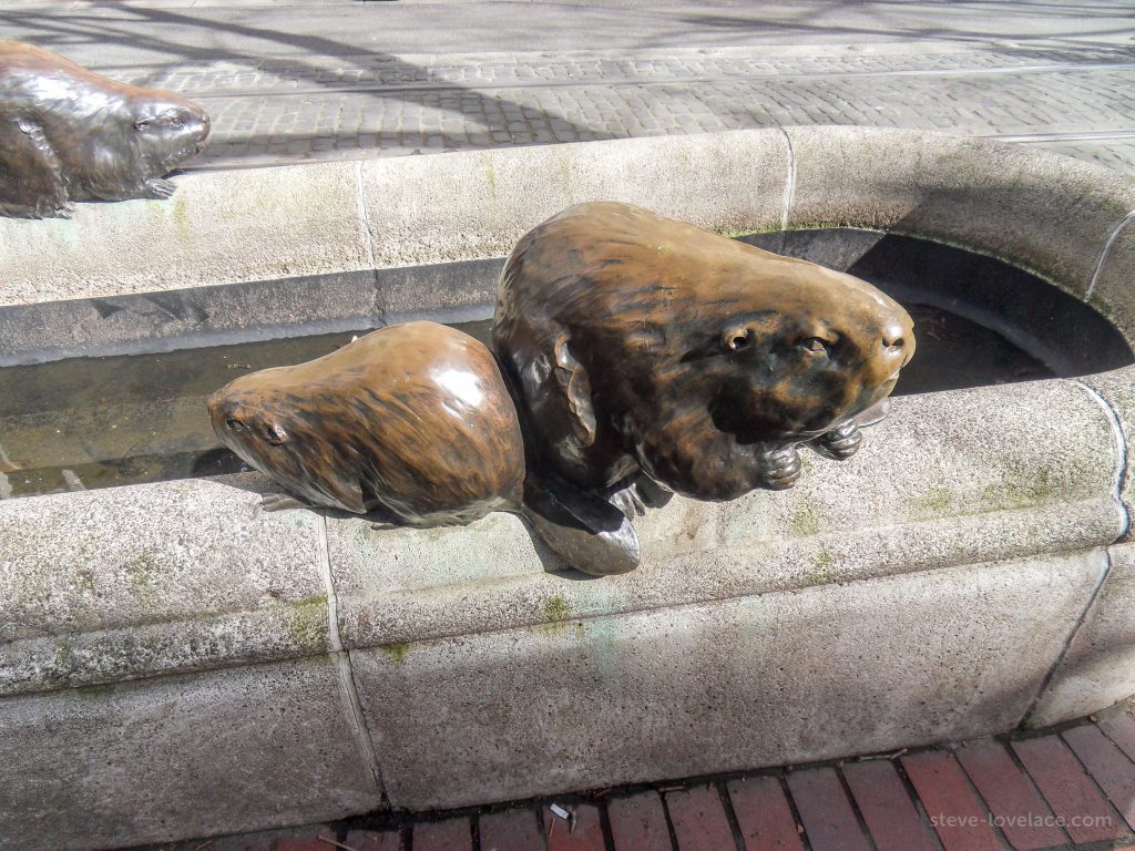 Bronze Beaver Statue