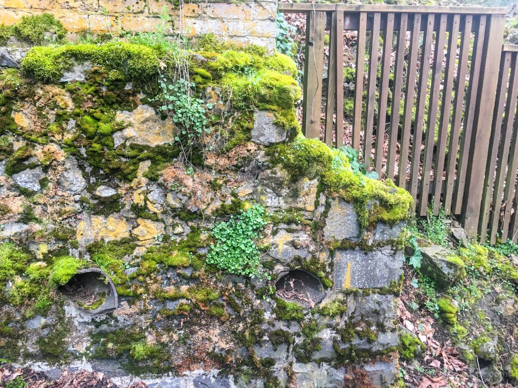 Moss Covered Rock Wall